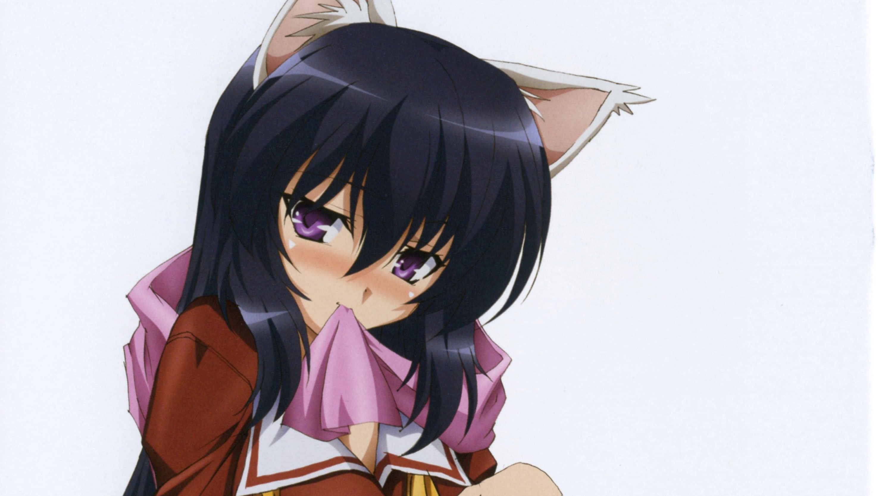 Omamori Himari HD Wallpaper Background Image 2964x1667