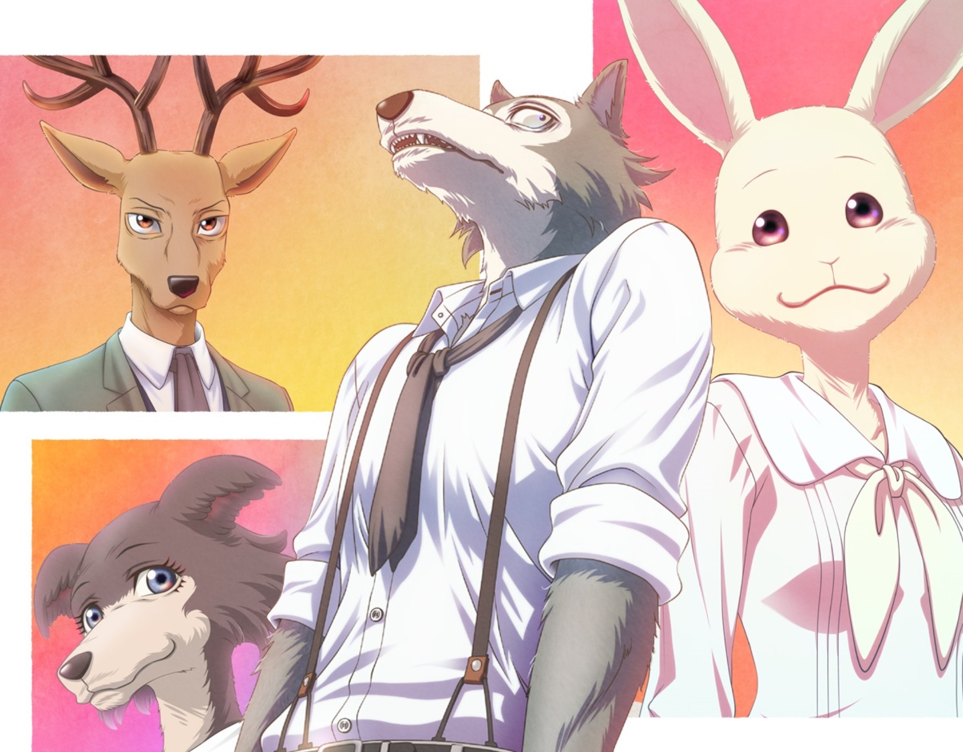 Anime Beastars HD Wallpaper