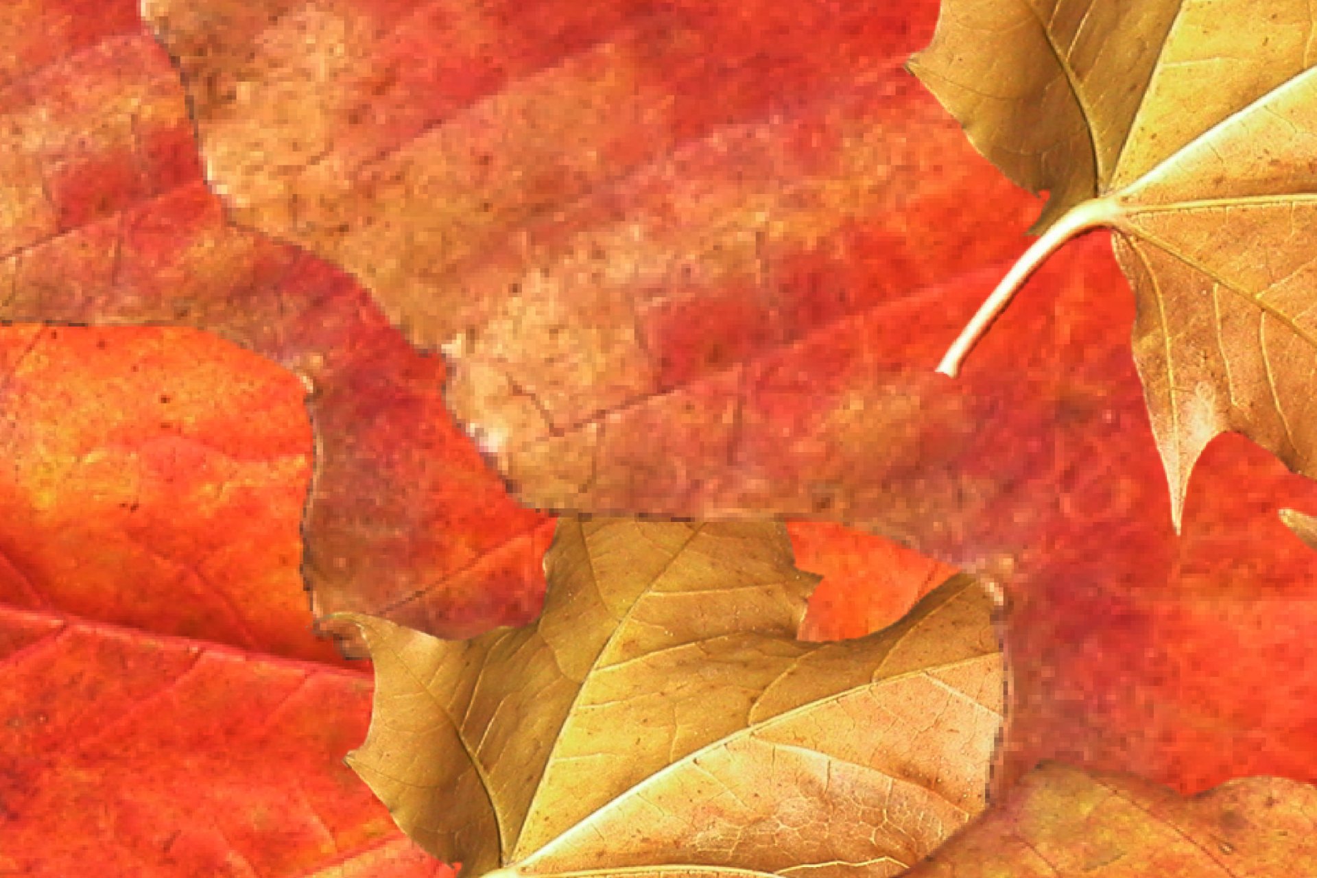 Download Abstract Texture HD Wallpaper by Susanlu4esm