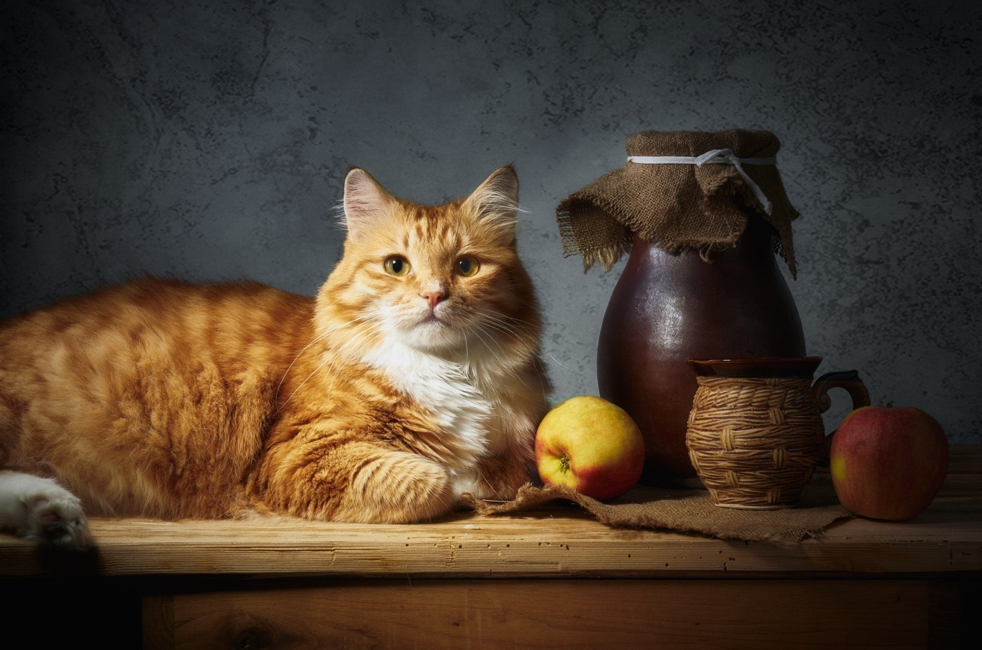 HD PC desktop wallpaper: ginger tabby cat reclining on a wooden table beside rustic pottery and apples against a textured dark background. Animal, cat.