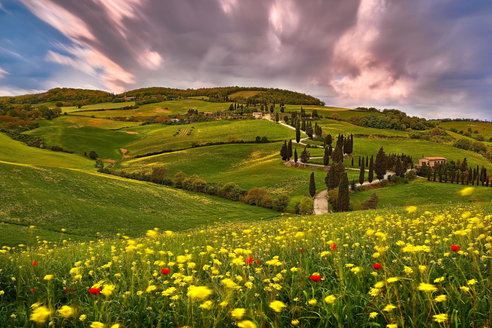 Download Italy Meadow Hill Flower Cloud Summer Photography Tuscany HD  Wallpaper