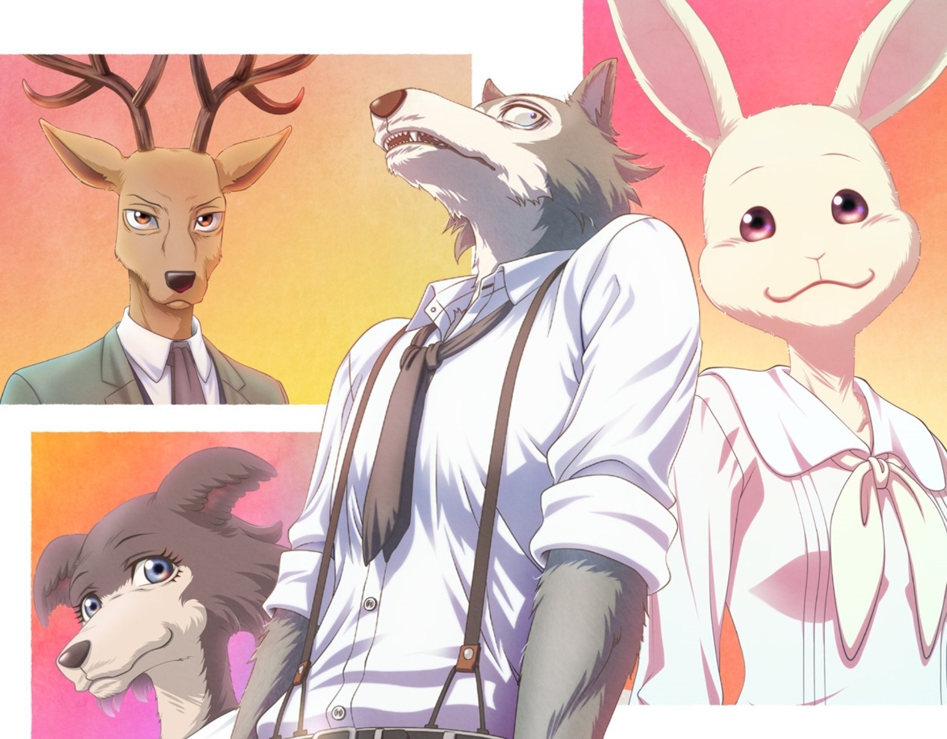 Love this  Beastars beastars aesthetic HD phone wallpaper  Pxfuel