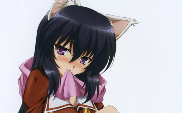 Himari Noihara Anime Omamori Himari HD Desktop Wallpaper | Background Image