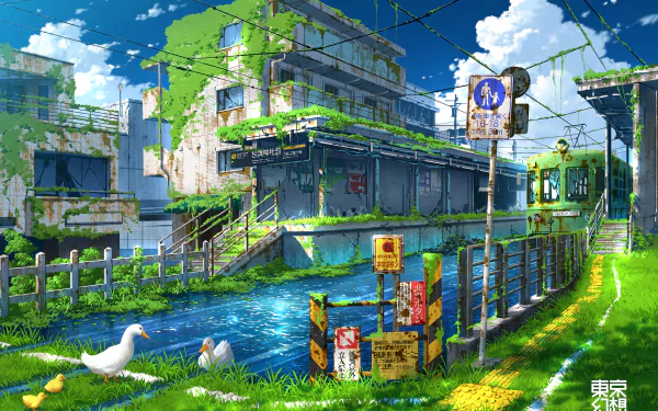 Anime post-apocalyptic scene of an overgrown urban area with abandoned buildings, vibrant greenery, and a clear blue sky. The HD desktop wallpaper and background features peaceful ducks by a water-filled path.