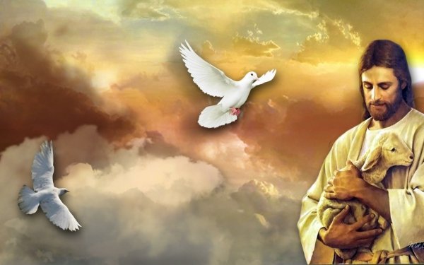 Religious Jesus Dove Lamb HD Wallpaper | Background Image