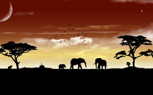 Artistic Vector Silhouette Africa Elephant Giraffe Sunset HD Wallpaper | Background Image