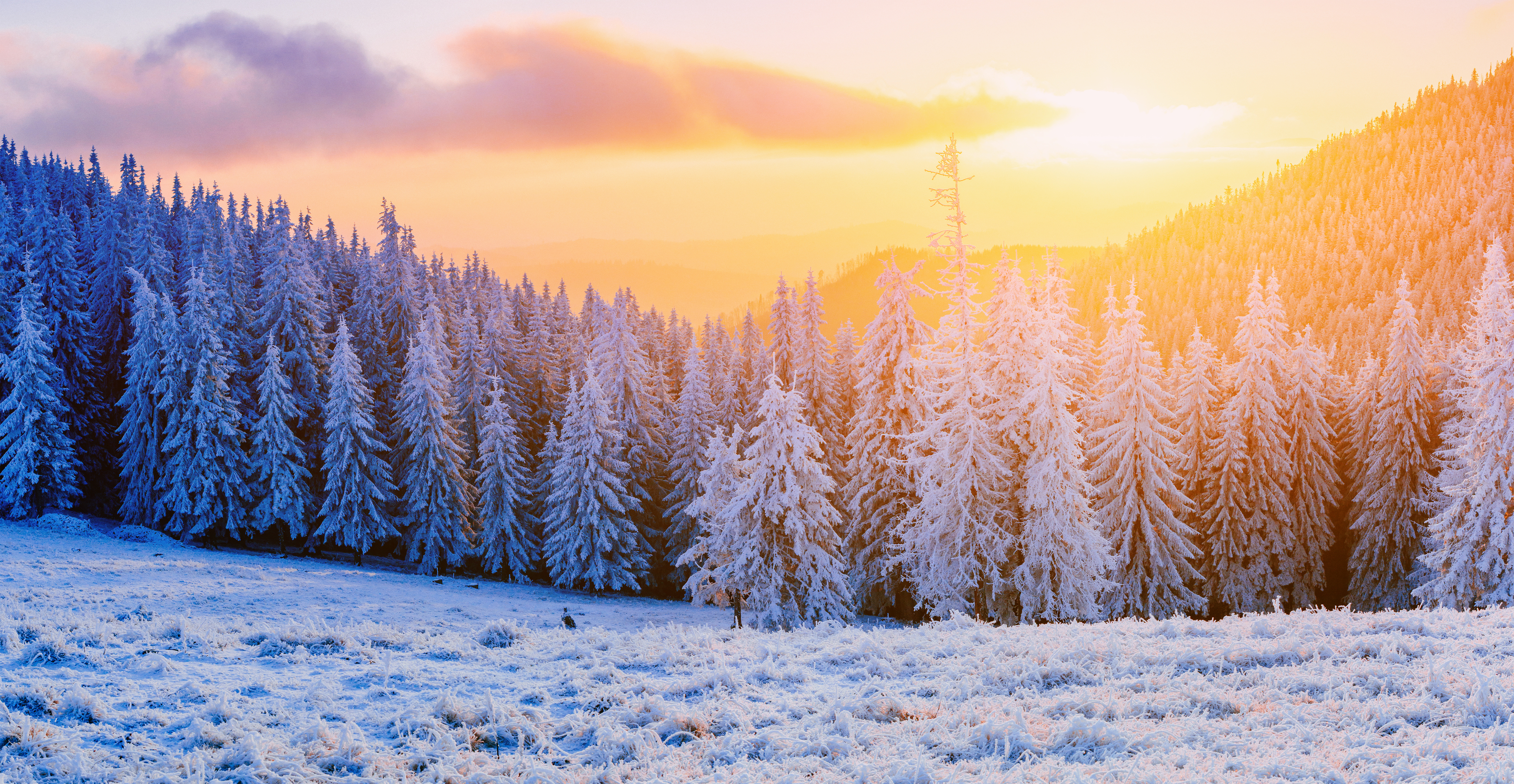 Winter 4k Ultra HD Wallpaper | Background Image | 5500x2849