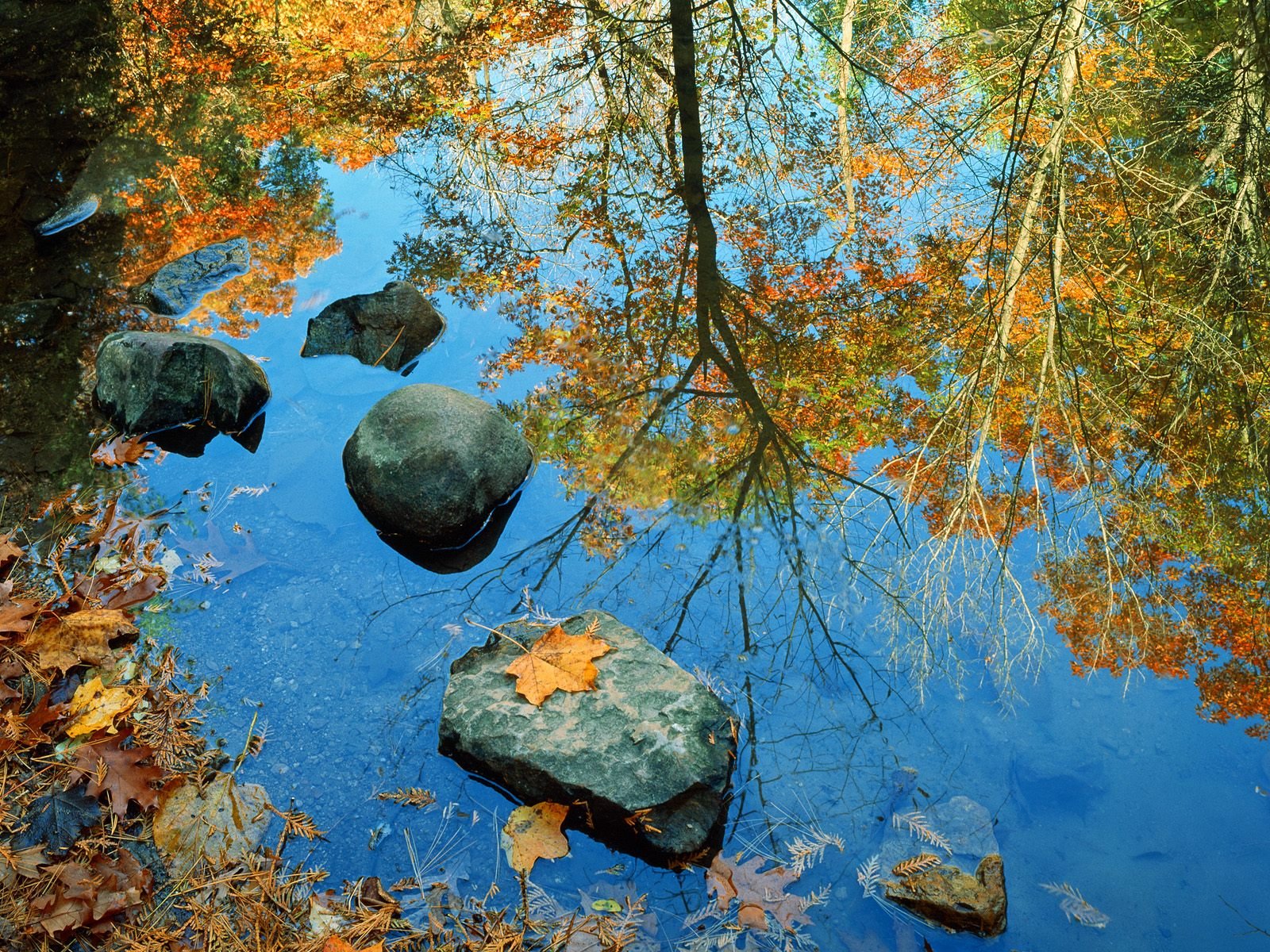 A serene nature scene featuring a tranquil body of water reflecting vibrant autumn trees and rocks, creating a calming HD desktop wallpaper.