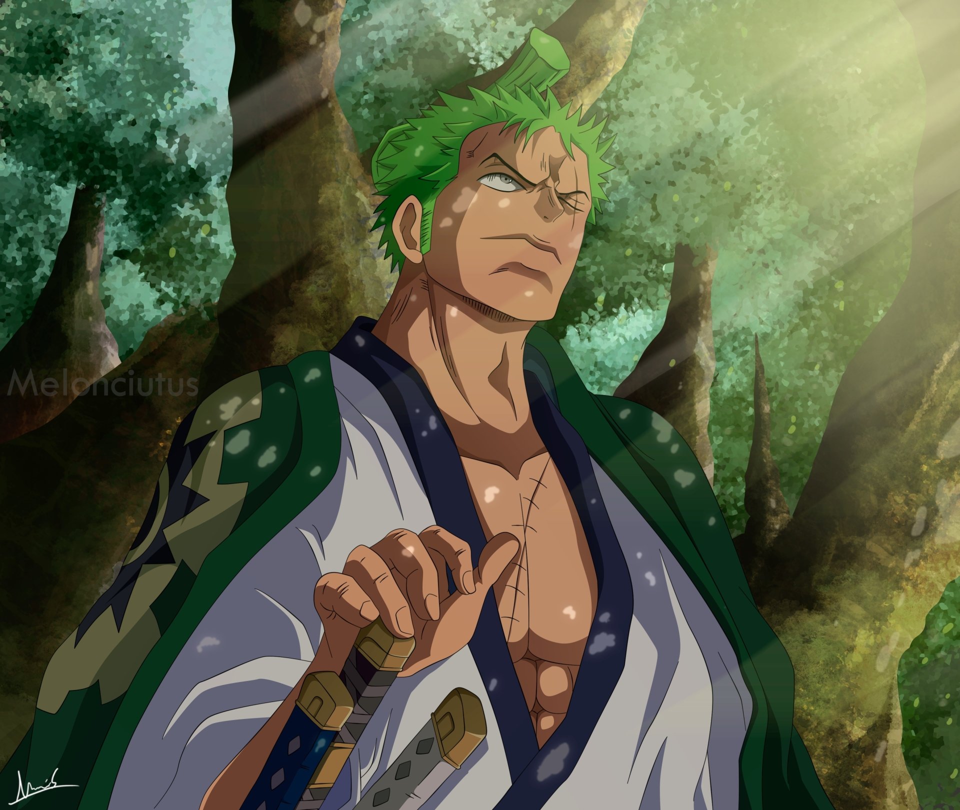 Roronoa Zoro Sant Ry Computer