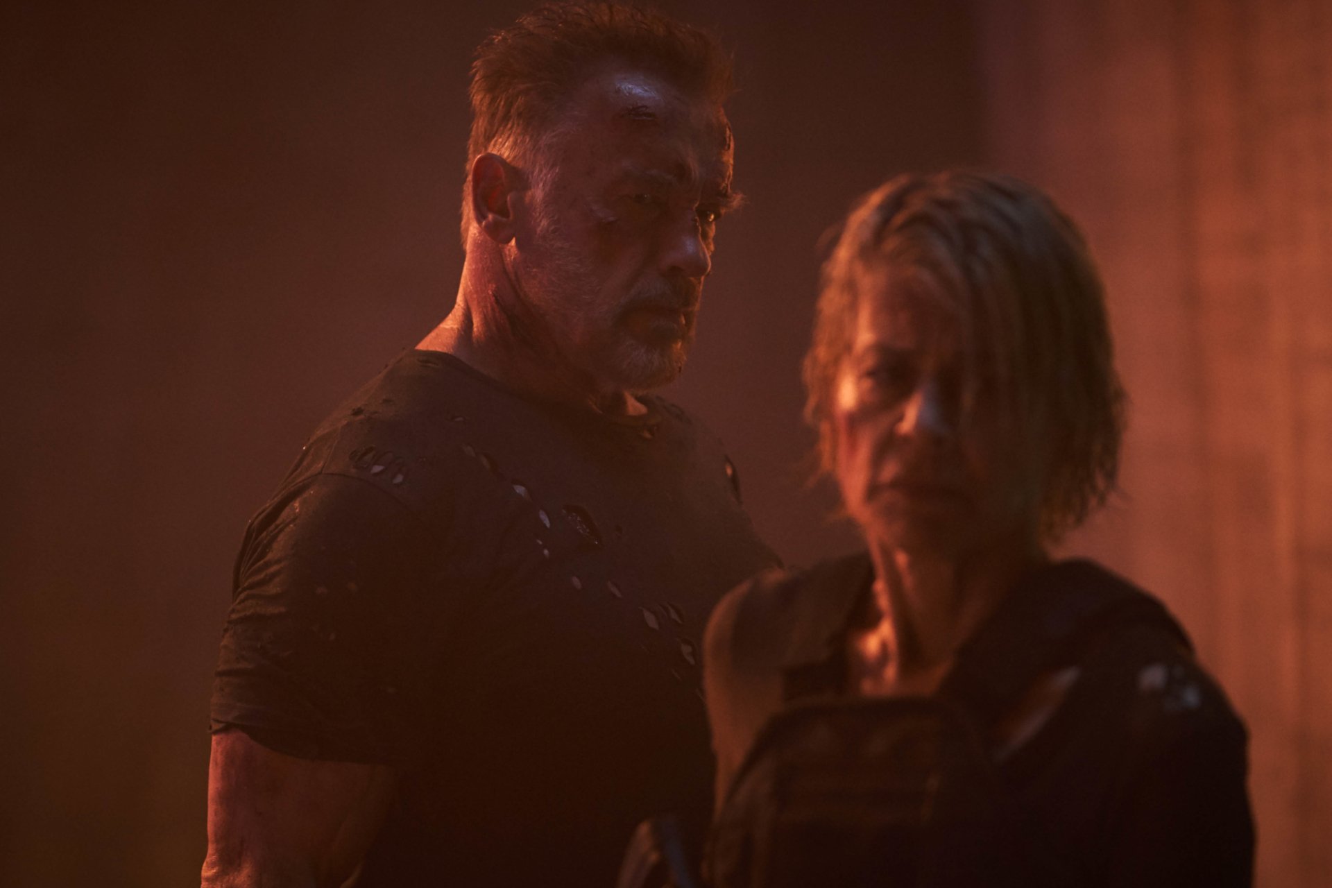 Download Arnold Schwarzenegger Sarah Connor Linda Hamilton Movie Terminator: Dark Fate HD Wallpaper