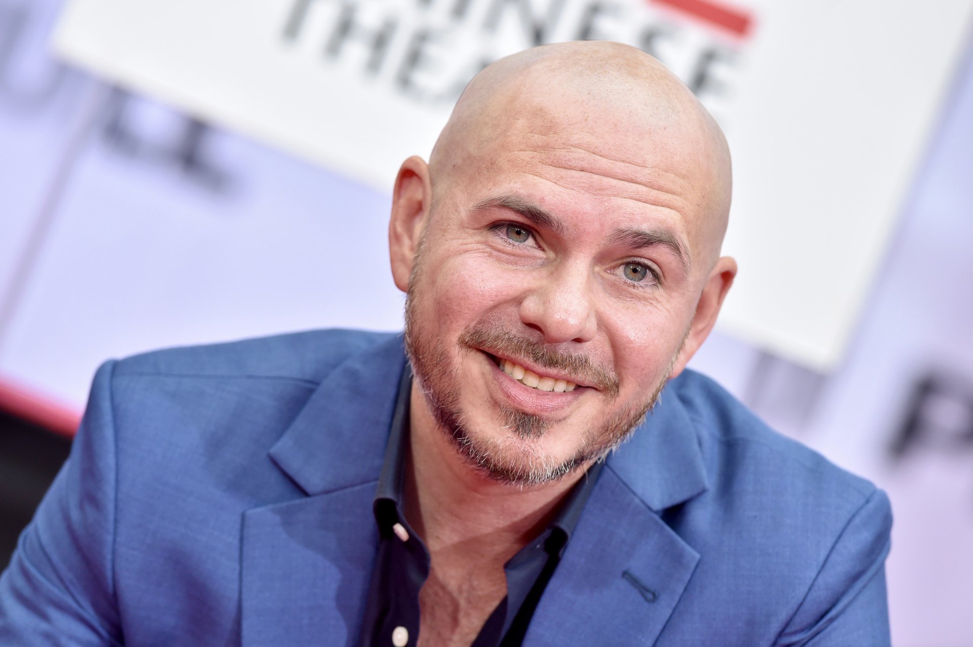 Pitbull HD Wallpaper | Background Image | 3000x1996