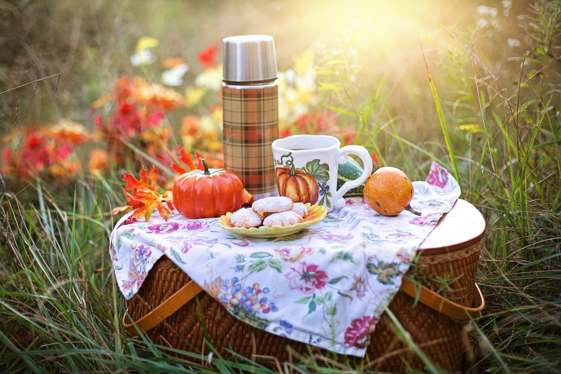 Download Mug Basket Photography Picnic 4k Ultra HD Wallpaper