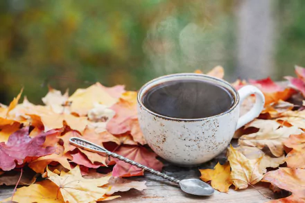 still life cup leaf fall food coffee fall coffee HD Desktop Wallpaper | Background Image