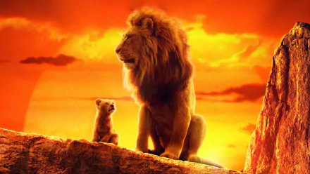 Mufasa (The Lion King) Simba movie The Lion King (2019) HD Desktop Wallpaper | Background Image