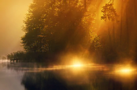 nature sunbeam HD Desktop Wallpaper | Background Image