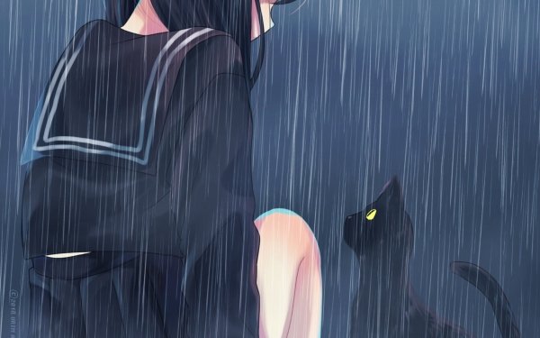Anime Original Cat Rain HD Wallpaper | Background Image