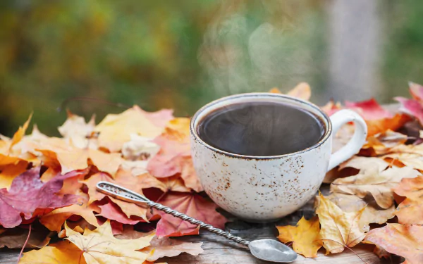 still life cup leaf fall food coffee fall coffee HD Desktop Wallpaper | Background Image