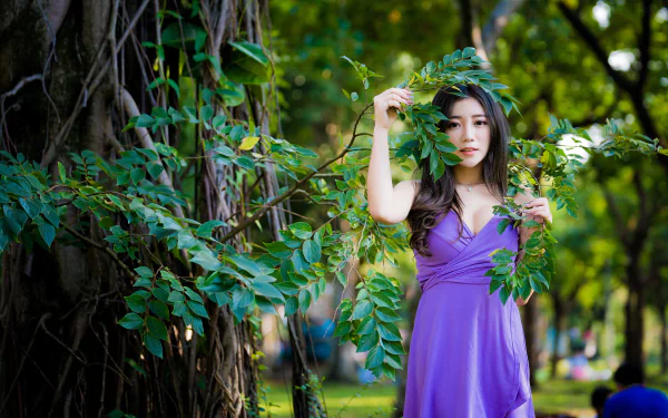 depth of field purple dress black hair model woman asian HD Desktop Wallpaper | Background Image