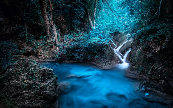 nature stream HD Desktop Wallpaper | Background Image