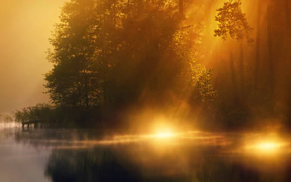 nature sunbeam HD Desktop Wallpaper | Background Image