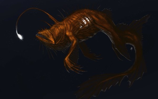 Fantasy Sea Monster Creature HD Wallpaper | Background Image