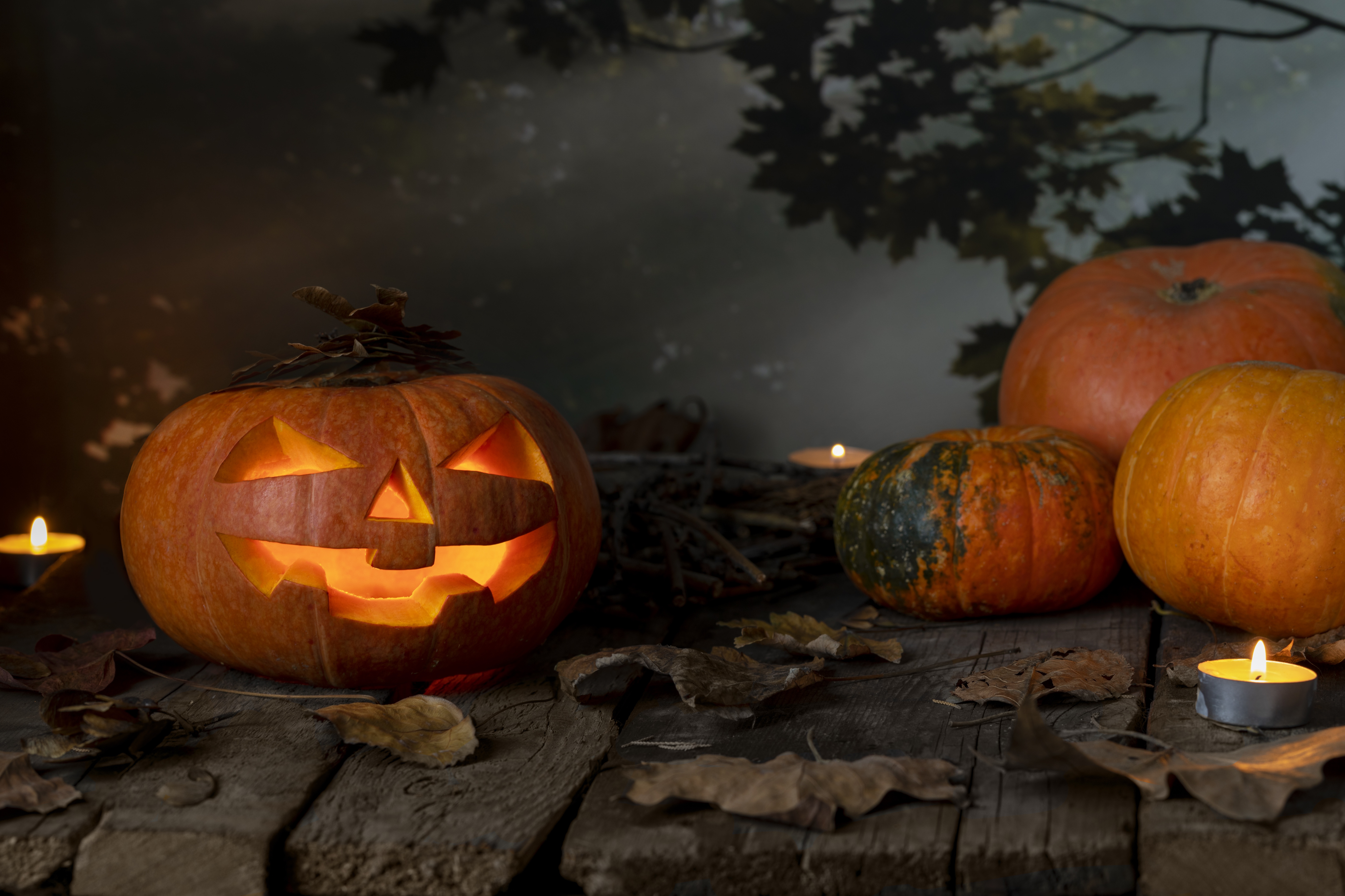 Download Still Life Pumpkin Fall Holiday Halloween 4k Ultra HD Wallpaper