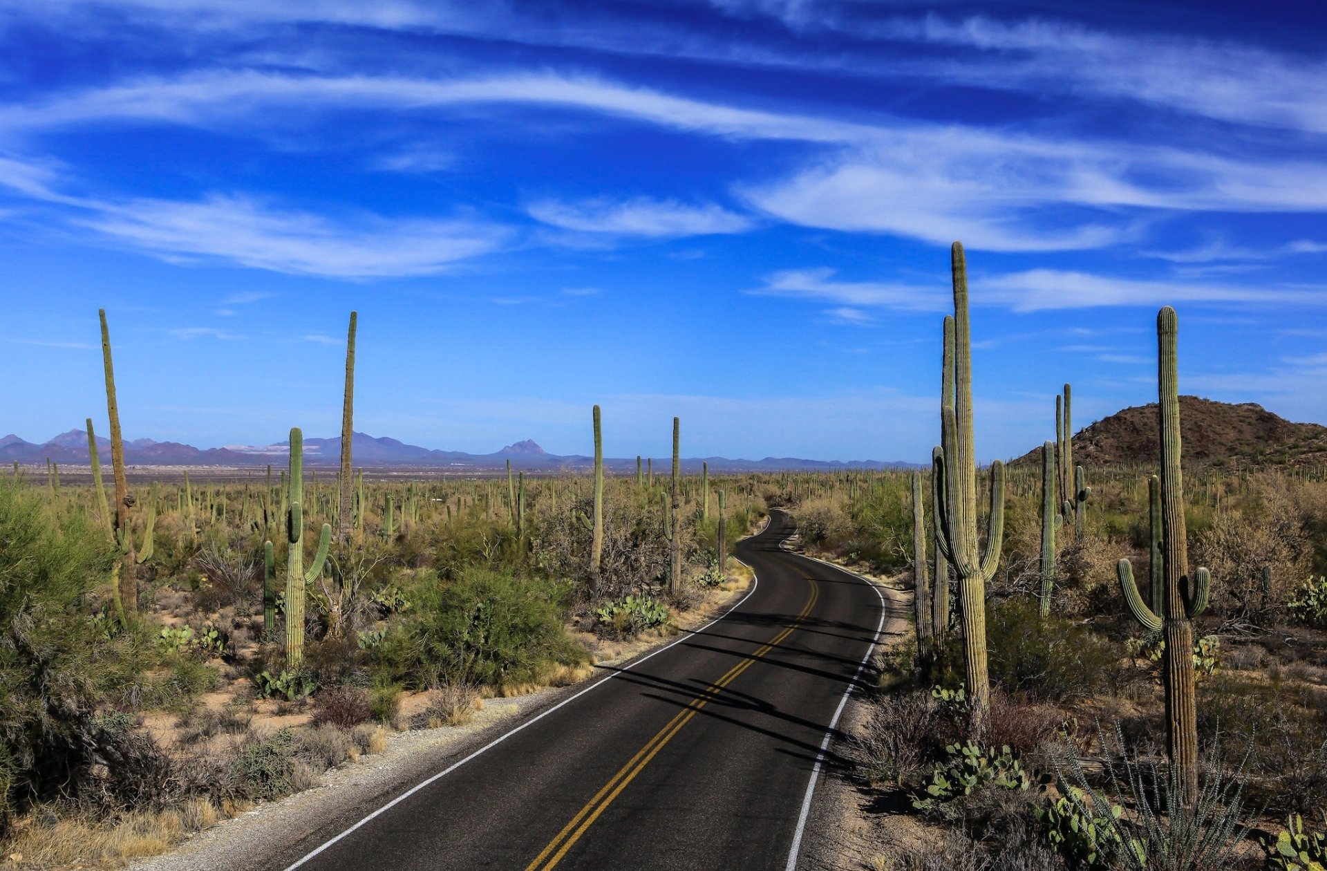 Download Sky Landscape Cactus Nature Man Made Road HD Wallpaper