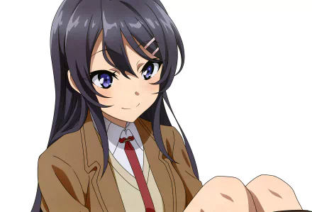 Mai Sakurajima Anime Rascal Does Not Dream of Bunny Girl Senpai HD Desktop Wallpaper | Background Image
