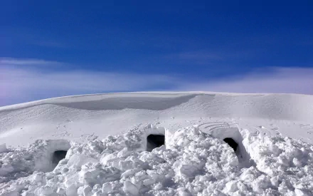  Snow Caves by Pond