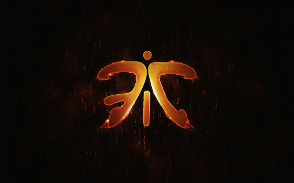 gaming team esports video game Fnatic HD Desktop Wallpaper | Background Image