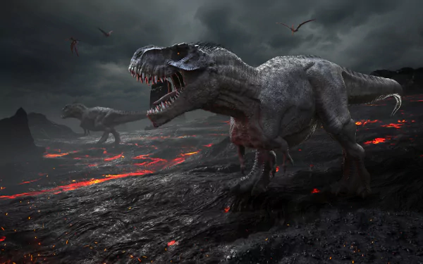 Animal Tyrannosaurus Rex HD Desktop Wallpaper | Background Image