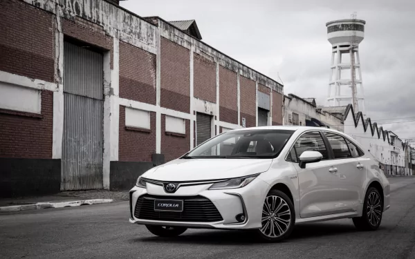 hybrid car compact car white car Toyota car vehicle Toyota Corolla HD Desktop Wallpaper | Background Image