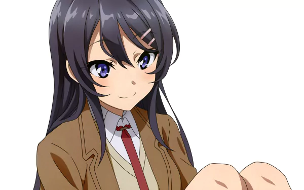 Mai Sakurajima Anime Rascal Does Not Dream of Bunny Girl Senpai HD Desktop Wallpaper | Background Image