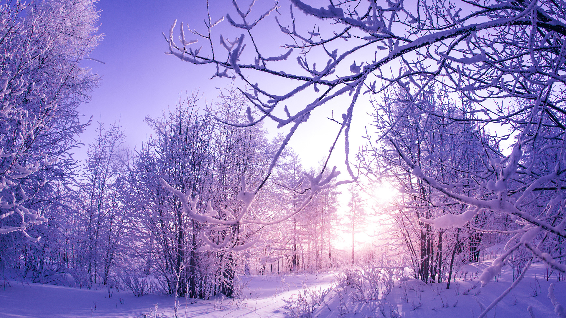 zoom background images winter