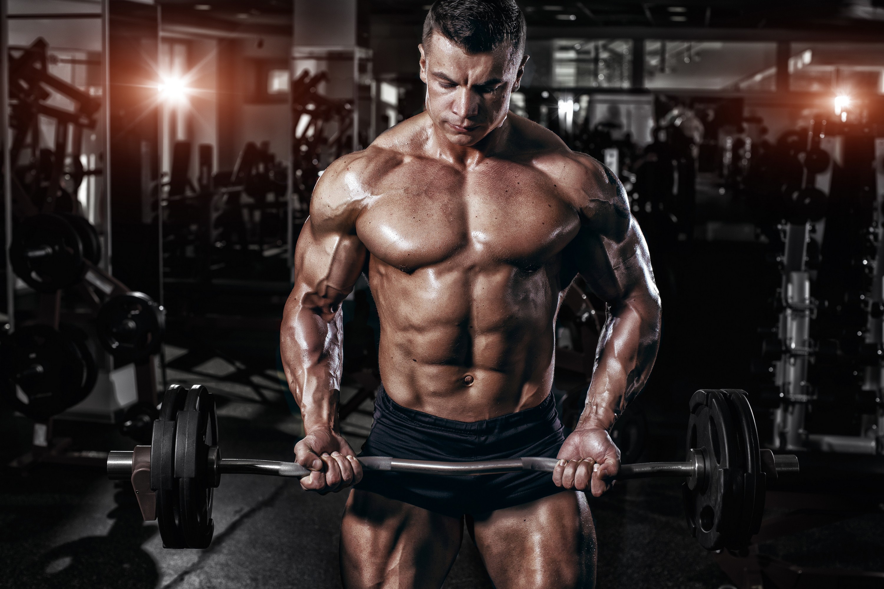 Sports Bodybuilding HD Wallpaper | Background Image