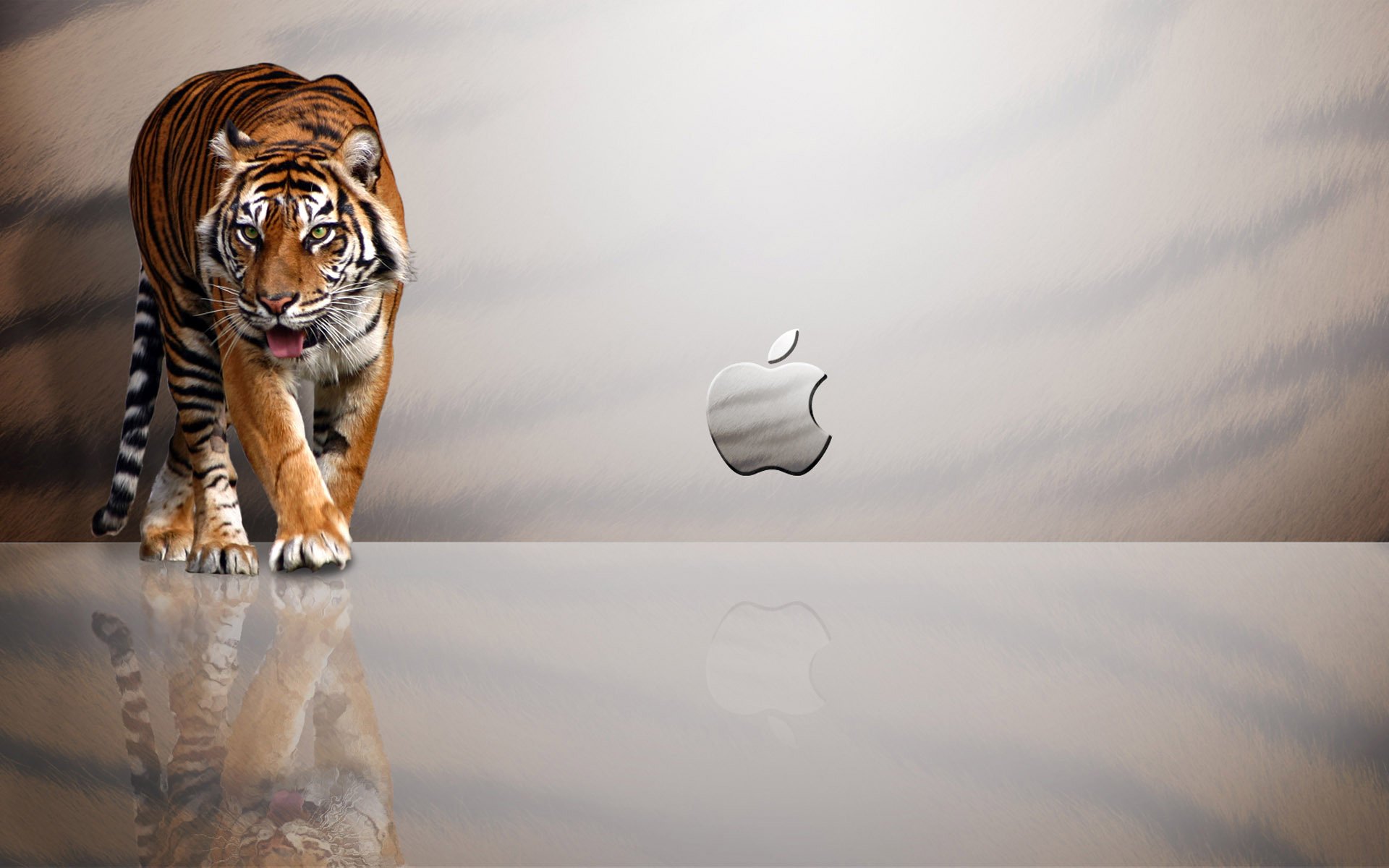 Apple Leopard Mac Os 高清壁纸 桌面背景 19x10 Wallpaper Abyss