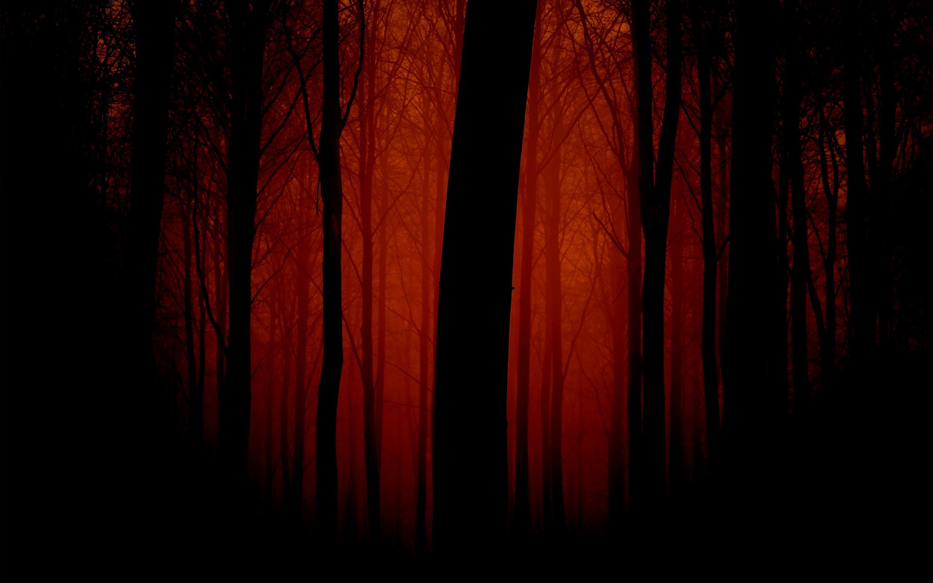 Dark, artistic forest scene with tall trees silhouetted against a deep red background, creating a mysterious and atmospheric HD PC desktop wallpaper.