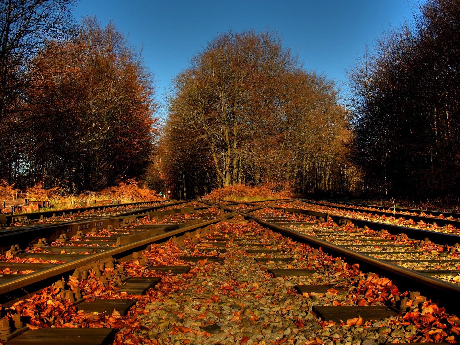 Nature landscape HD PC desktop wallpaper and background: autumn railroad tracks strewn with orange leaves, converging toward a tree-lined horizon under a clear blue sky.
