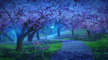 Anime-style HD desktop wallpaper depicting a serene spring night path lined with glowing cherry blossom (sakura) trees under soft blue lighting.