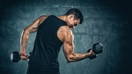 muscle weightlifting Sports HD Desktop Wallpaper | Background Image