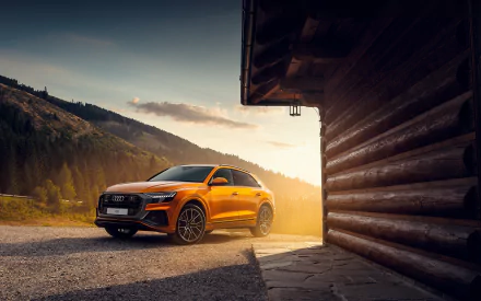SUV orange car car Audi vehicle Audi Q8 HD Desktop Wallpaper | Background Image