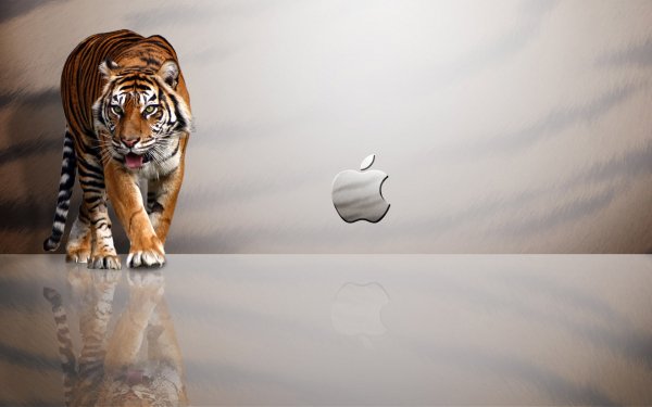 Technology Apple Apple Inc. HD Wallpaper | Background Image