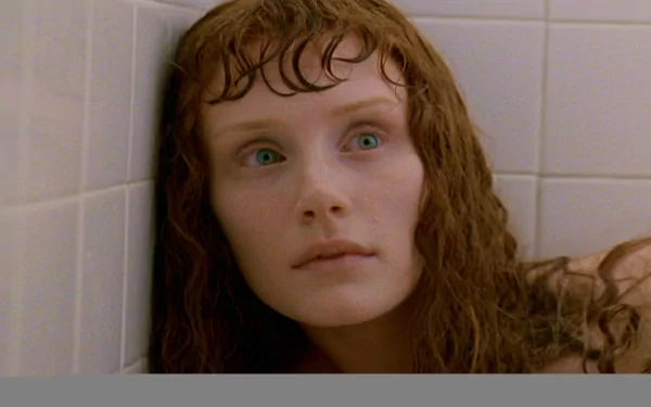 movie Lady In The Water HD Desktop Wallpaper | Background Image