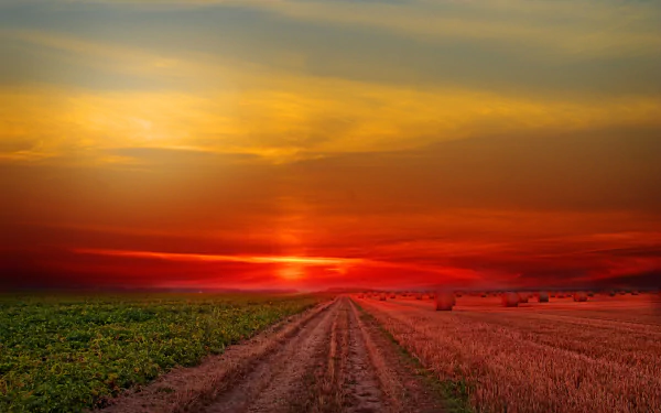 5K Ultra HD PC desktop wallpaper: nature field at sunset, a dirt track between green crops and golden stubble leading to a vivid red-orange horizon.