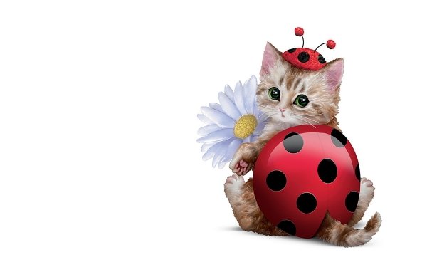 Artistic Cute Kitten Ladybug Flower HD Wallpaper | Background Image