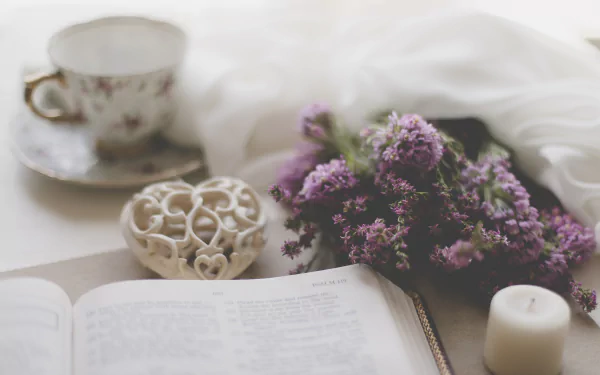 purple flower photography still life HD Desktop Wallpaper | Background Image