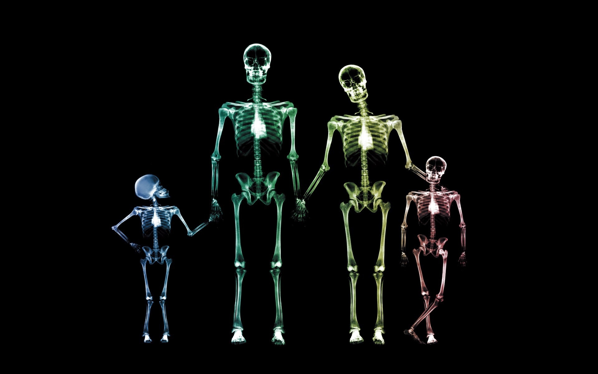 Dark Skeleton HD Wallpaper by Naomi Voxeed