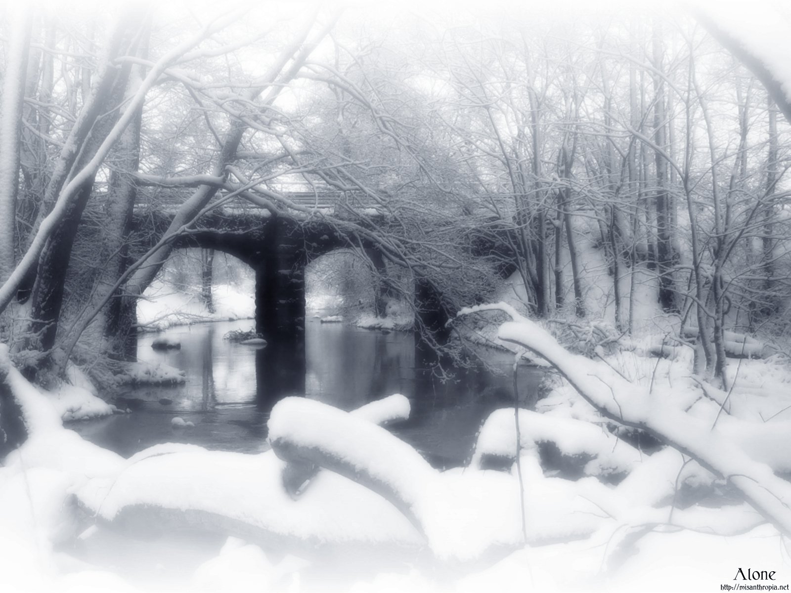 A serene winter scene featuring a snow-covered bridge over a calm river, surrounded by trees, capturing the beauty of nature in HD.