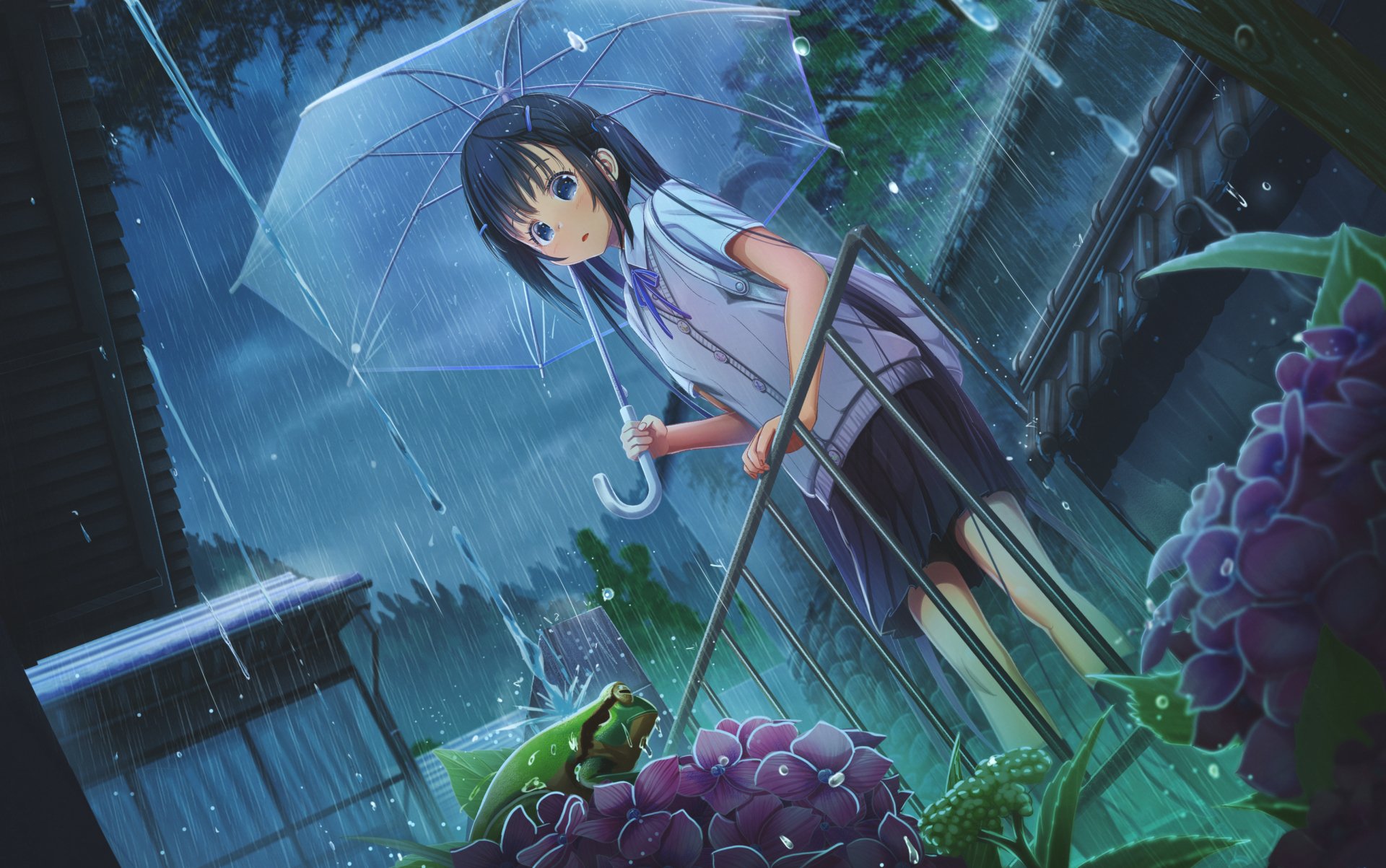 HD anime original artwork of a girl holding a transparent umbrella in the rain, standing near blooming hydrangeas and a green frog, designed as a PC desktop wallpaper.