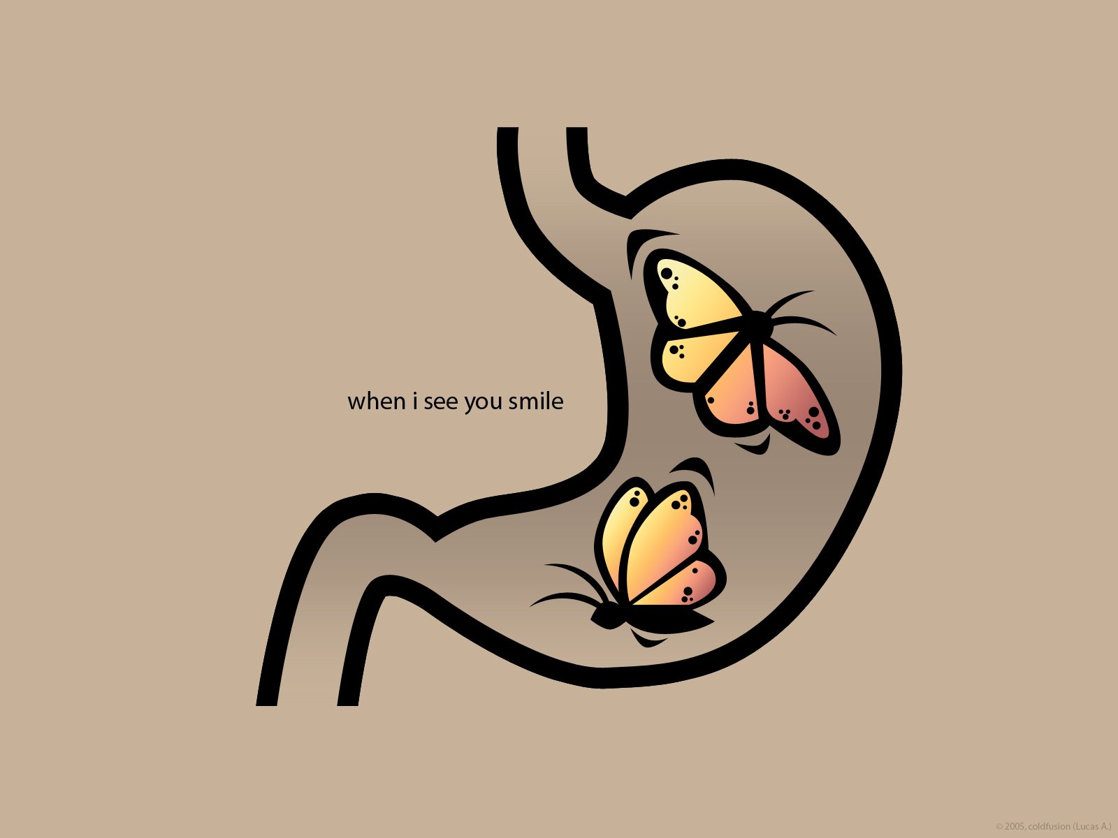 Artistic HD wallpaper featuring colorful butterflies within an outline of a stomach, accompanied by the text when I see you smile, symbolizing love and joy.